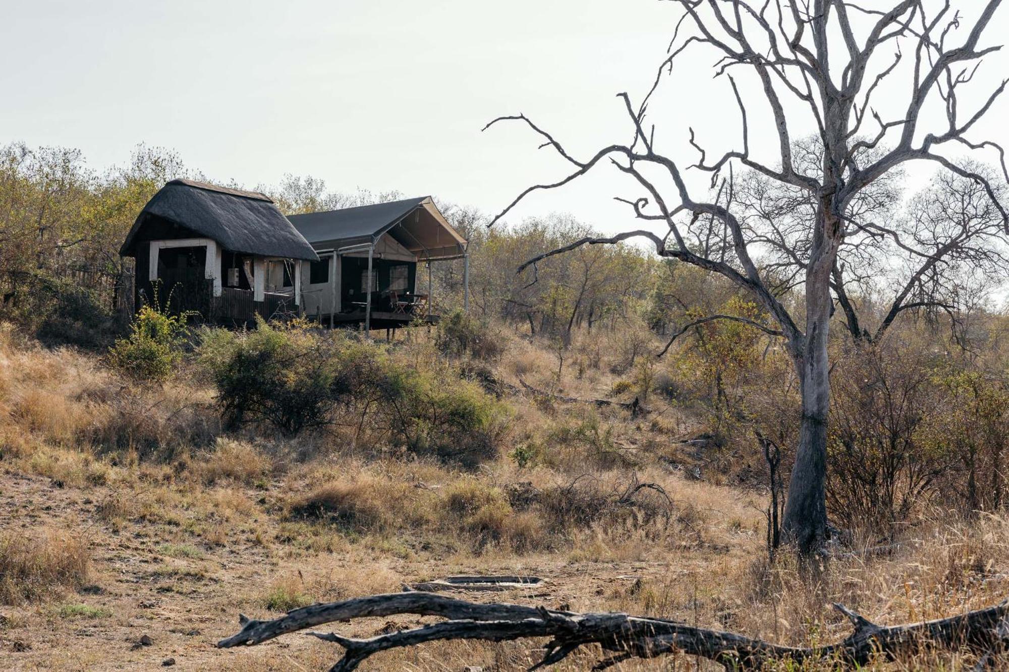 Isambane Camp Villa บาลูเลเกมรีเซิร์ฟ ภายนอก รูปภาพ